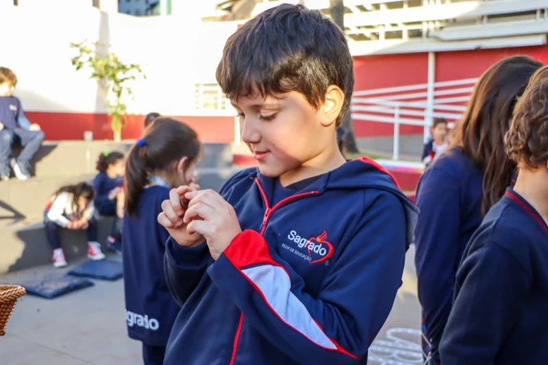 Escola Santa Teresinha do Menino Jesus (Curitiba/PR)