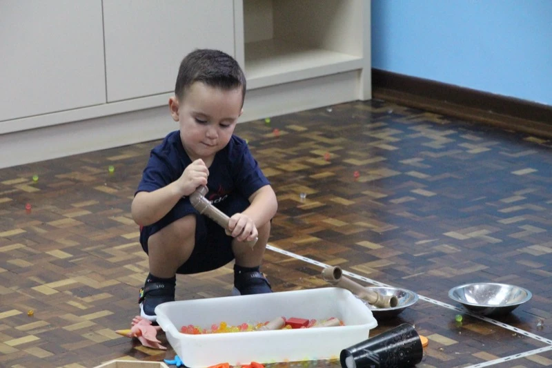 Educação Infantil